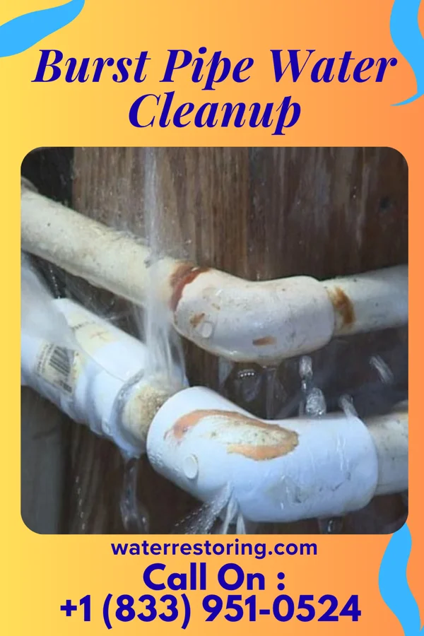 Burst Pipe Water Cleanup in Avra Valley, AZ